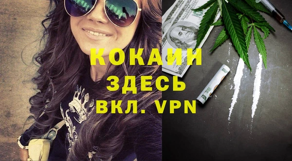 гашик Бородино