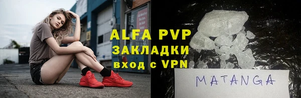 гашик Бородино