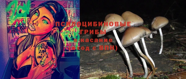 MDMA Premium VHQ Бронницы