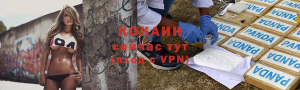 гашик Бородино