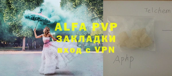 гашик Бородино