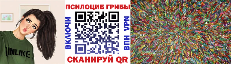 Купить где  Ворсма  Псилоцибиновые грибы GOLDEN TEACHER 
